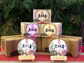 共贏發展 中吉號茶業與昌興存茶達成戰略合作