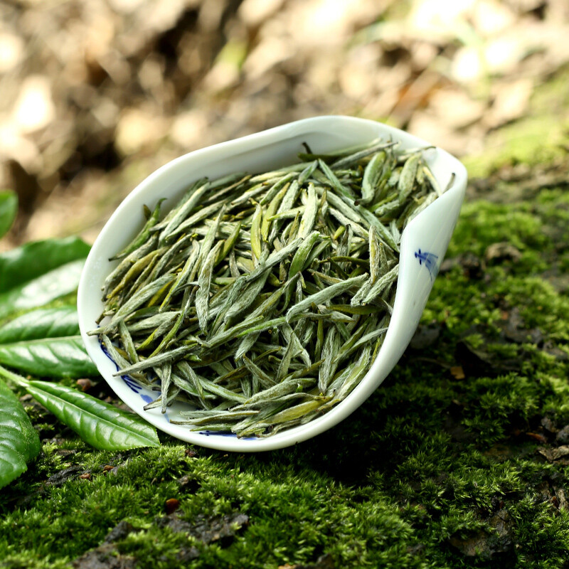 巴南銀針 重慶特產茶葉 2023新茶袋裝100g 春茶明前茶葉云霧毛尖