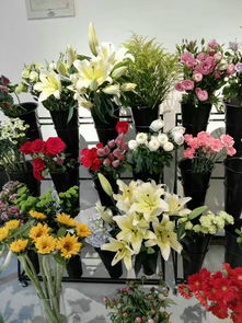 渝北區(qū)鮮花配送 愛 花兒精品花屋