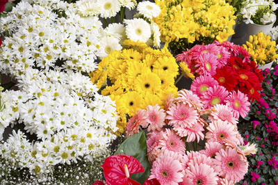 多彩的花卉市場