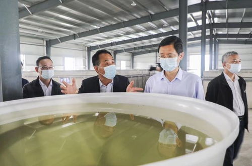 方正赴貴池區調研春耕備耕和特色農產品種植養殖工作