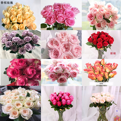 花卉銷售_網絡科技_苗木種植_農副產品